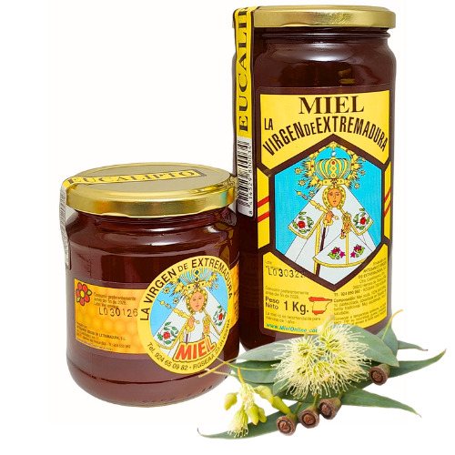 Miel de Eucalipto
