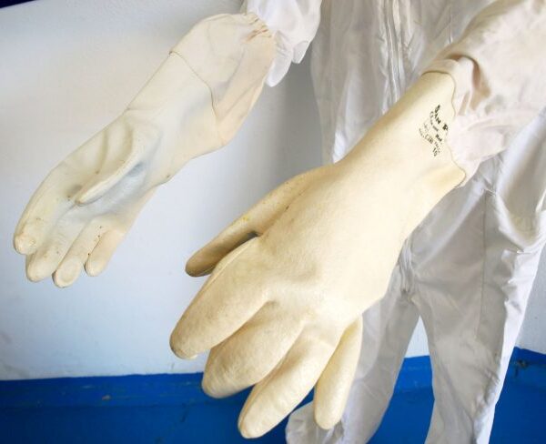 Guantes de apicultor